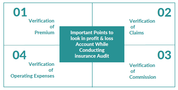 Insurance Audit