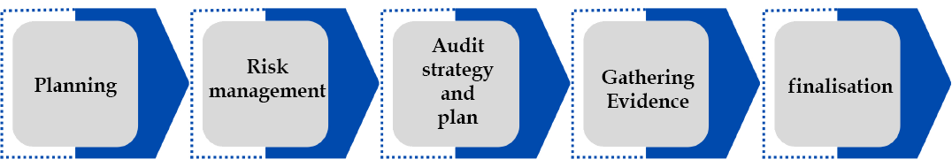 Financial Statement Audit