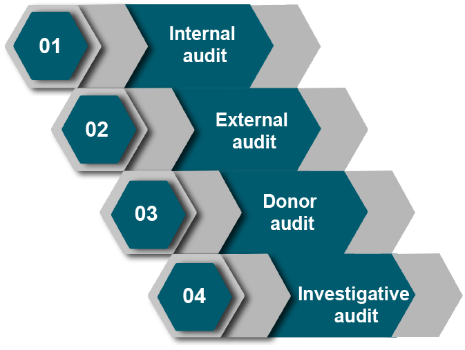 types of NGO Audit