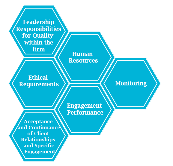 Process of Audit and Assurance