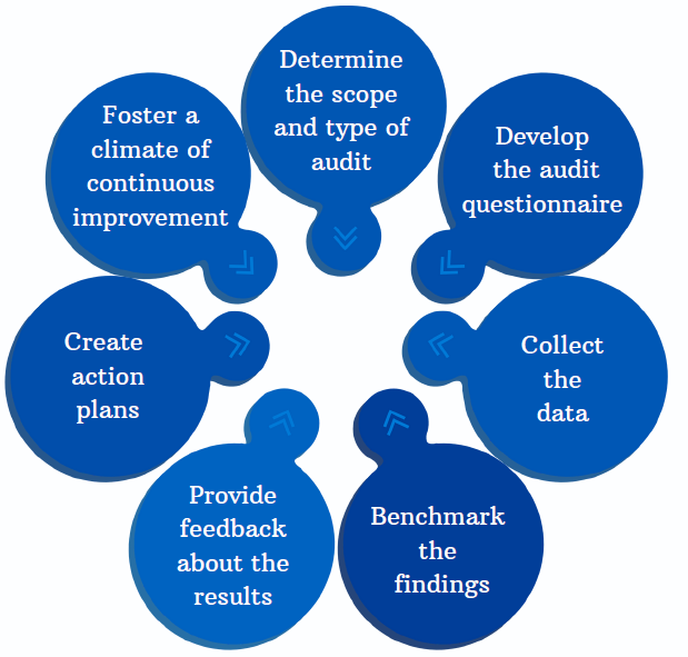 process of Human Resource Audit