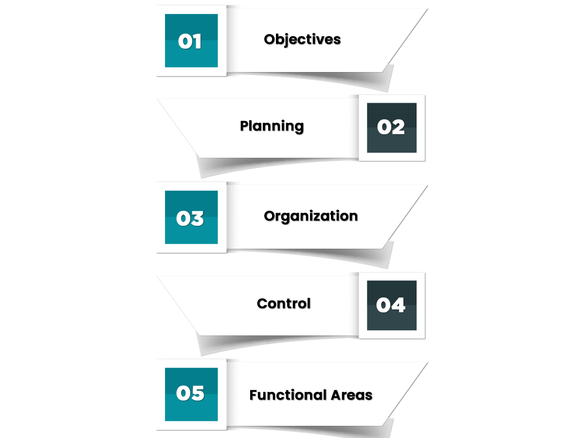 Information Required For Management Audit