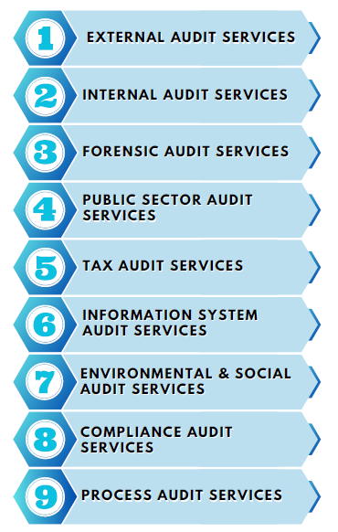 Types of Global Audit Services