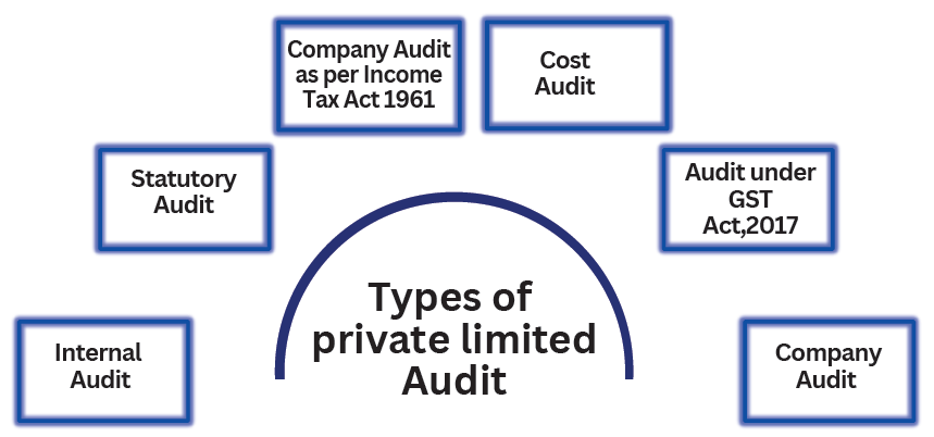 types of Private Limited Audit